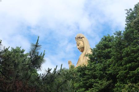 海天佛國普陀山、普濟寺、南海觀音 三天雙飛朝圣之旅PT-01